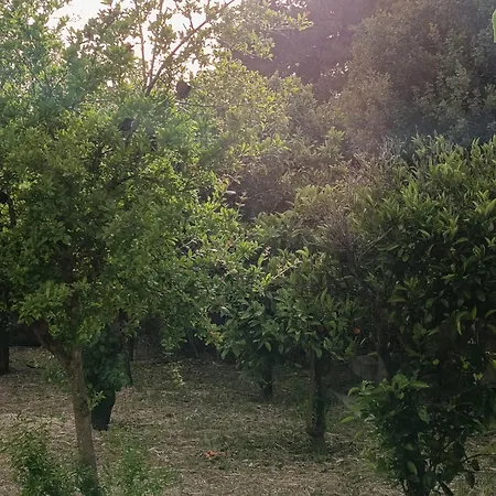 Apartmán La Casa Di Luca Olbia