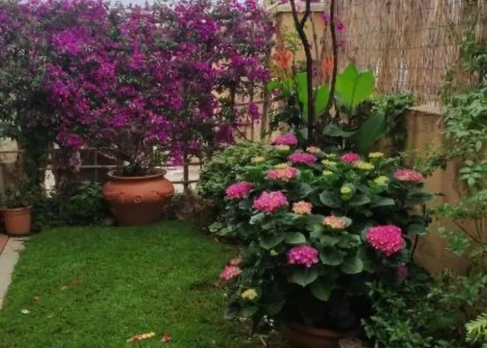 Apartman La Casa Di Luca Olbia